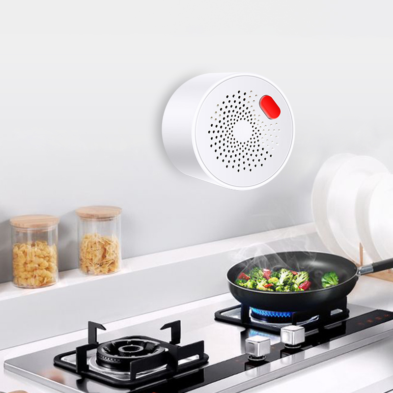 Tuya เซ็นเซอร์ก๊าซธรรมชาติ WiF - Home Security Tools บทวิจารณ์และราคา